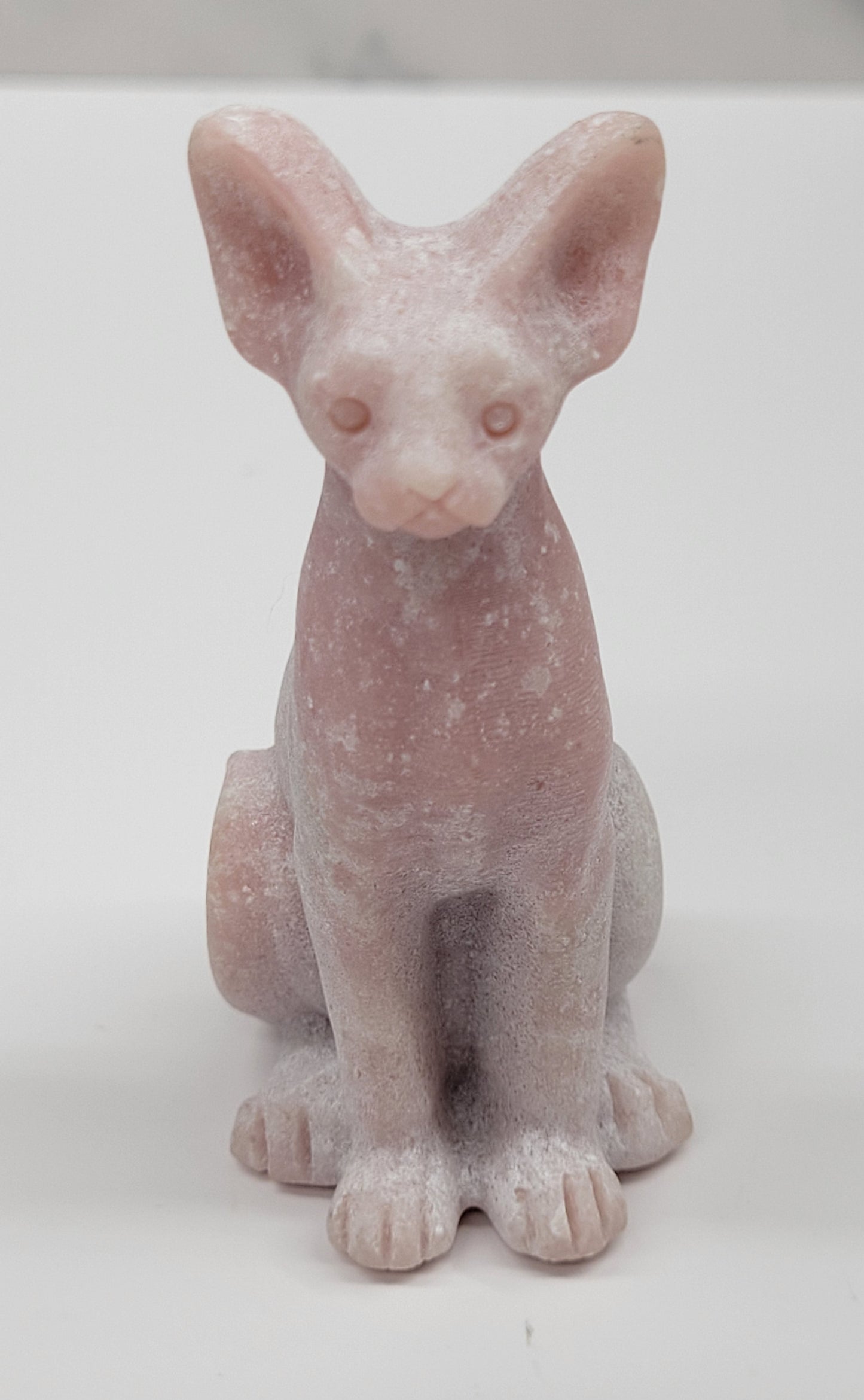 Egyptian Cat (Mau cat) (medium)