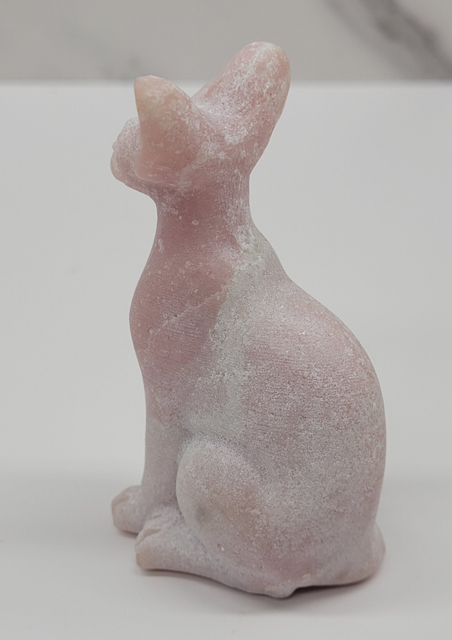 Egyptian Cat (Mau cat) (medium)