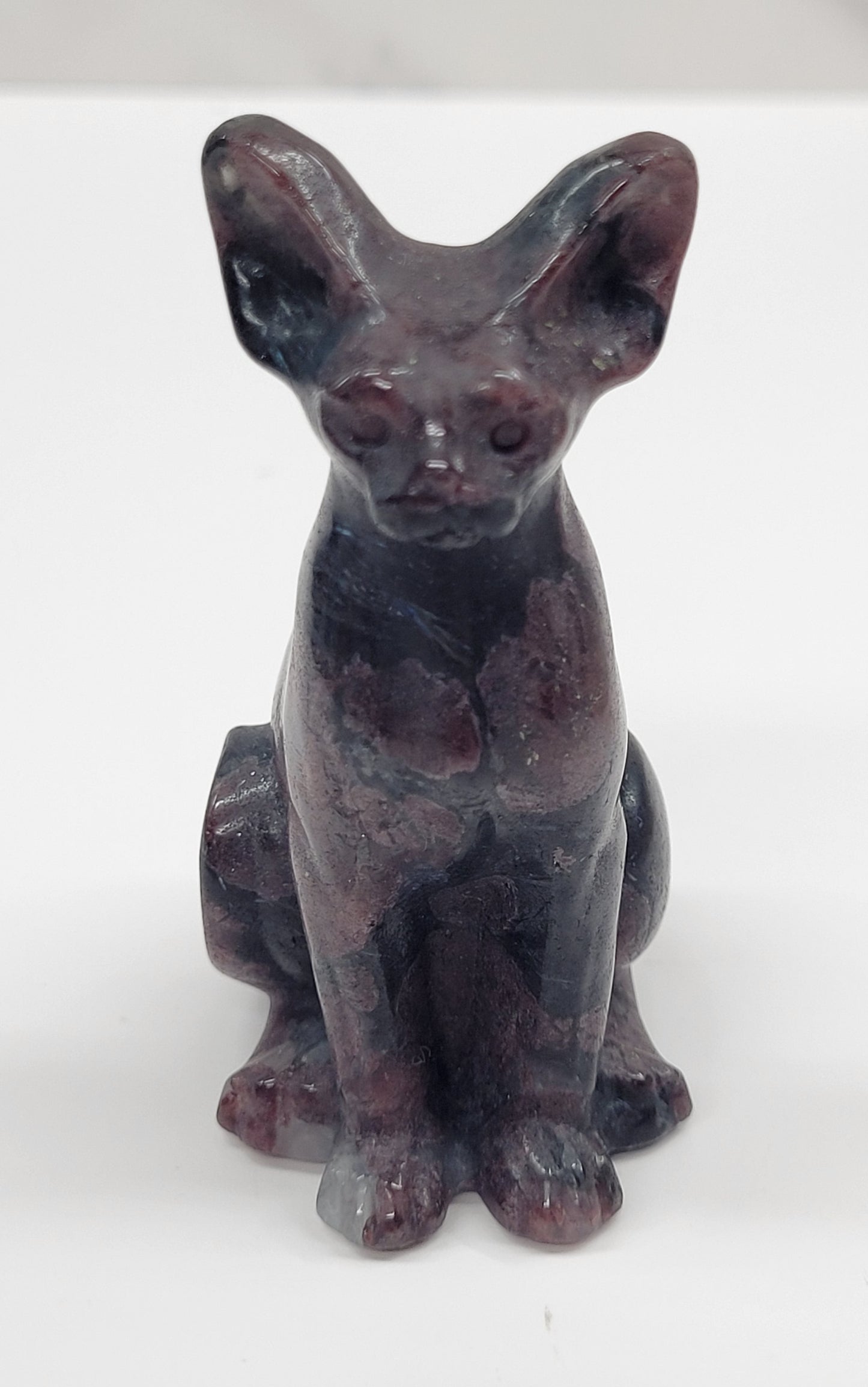 Egyptian Cat (Mau cat) (medium)