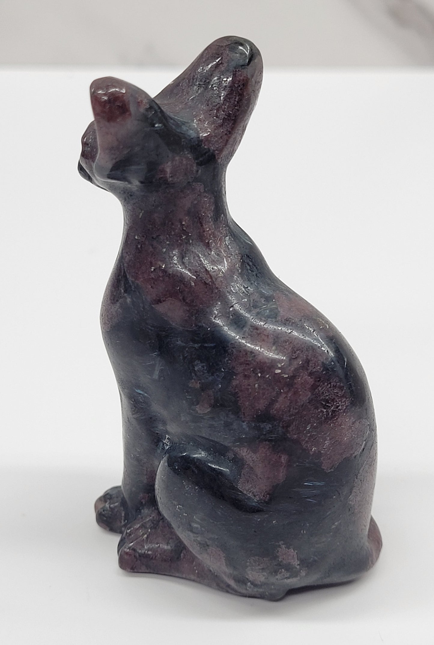 Egyptian Cat (Mau cat) (medium)