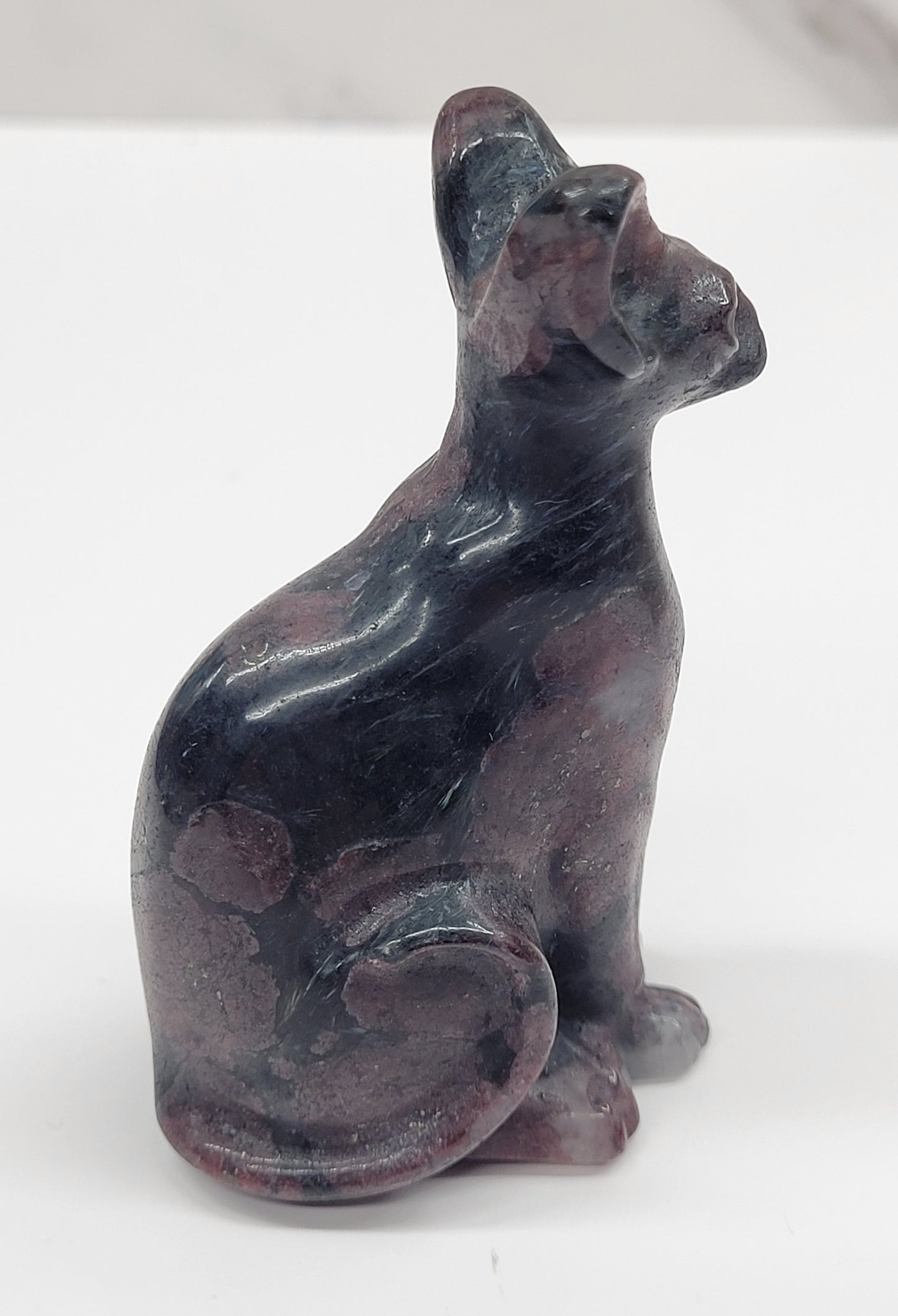 Egyptian Cat (Mau cat) (medium)