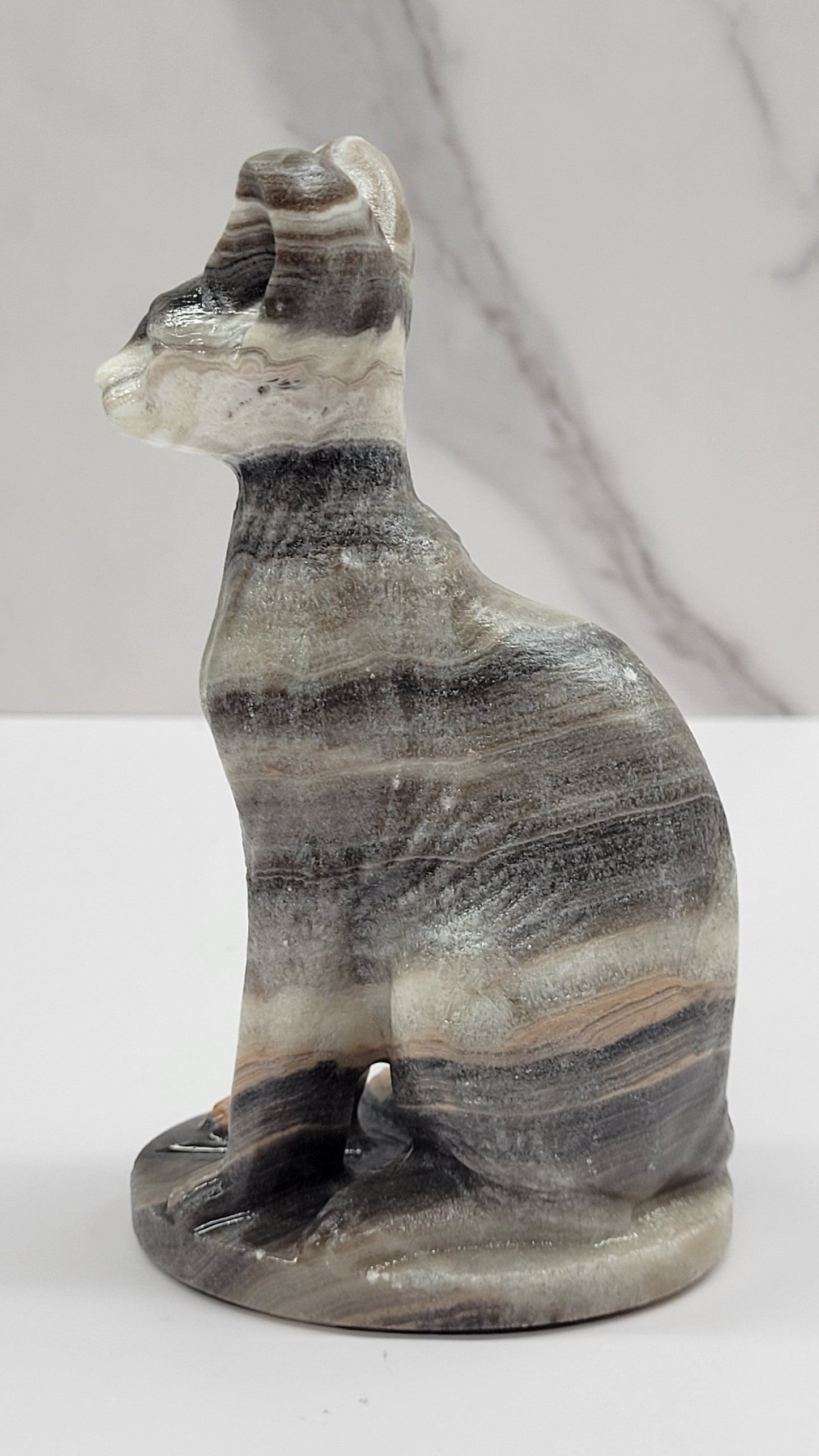 Egyptian Cat (Mau cat) (large)