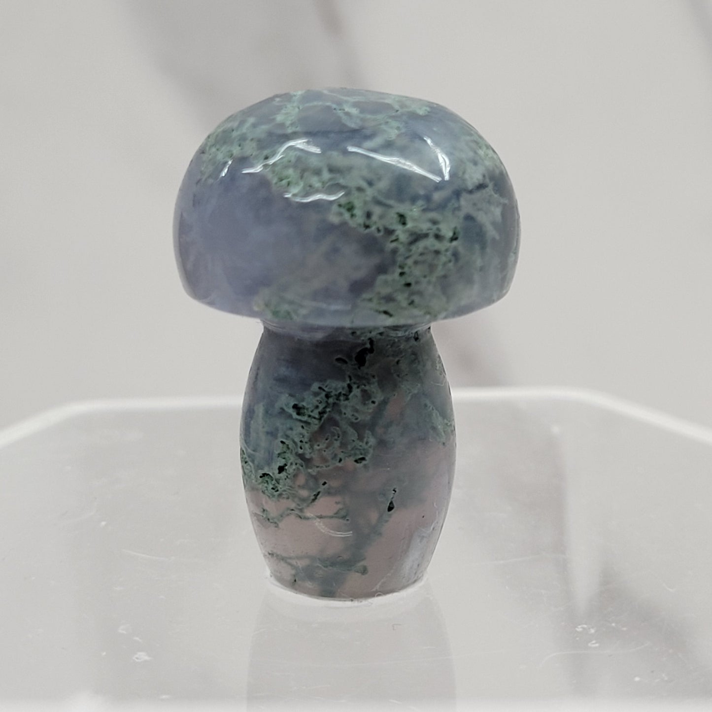 Mushroom (small/medium)
