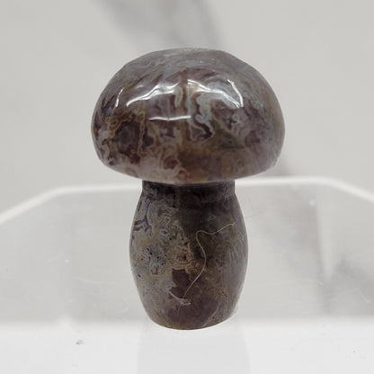 Mushroom (small/medium)