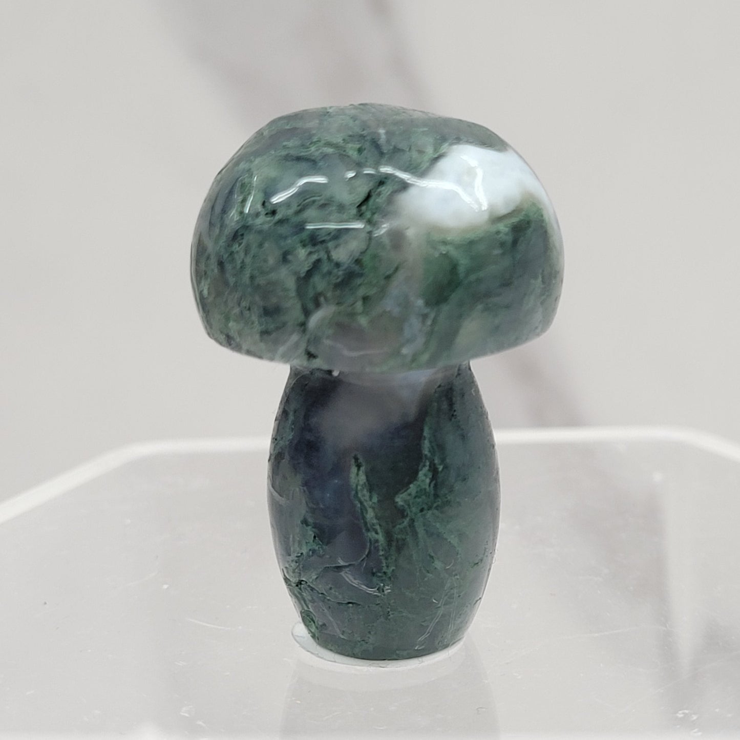 Mushroom (small/medium)