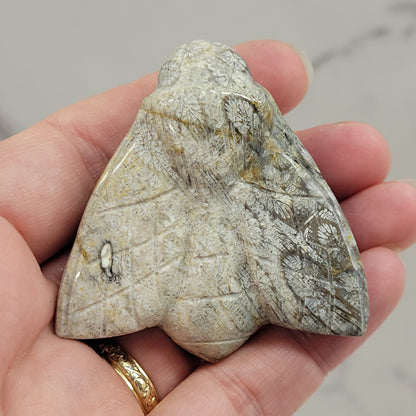 Fossil Coral Jasper bee