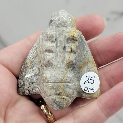 Fossil Coral Jasper bee