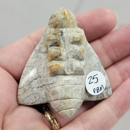 Fossil Coral Jasper bee