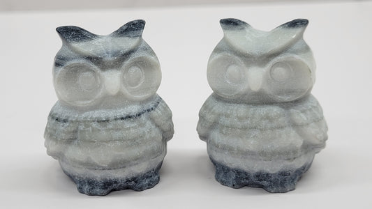 Tai Chi owl