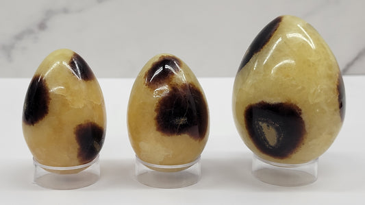 Septarian egg