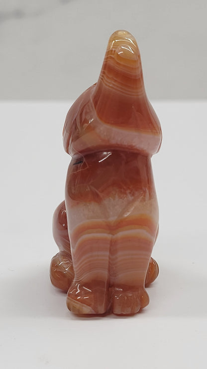 Carnelian wolf