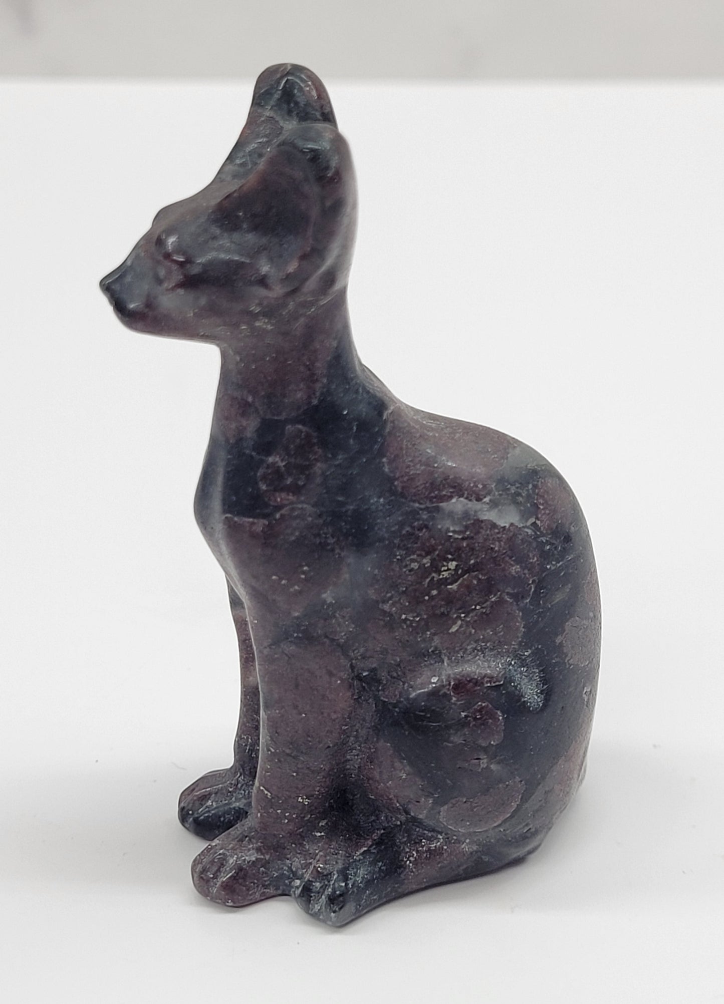 Egyptian Cat (Mau cat) (medium)