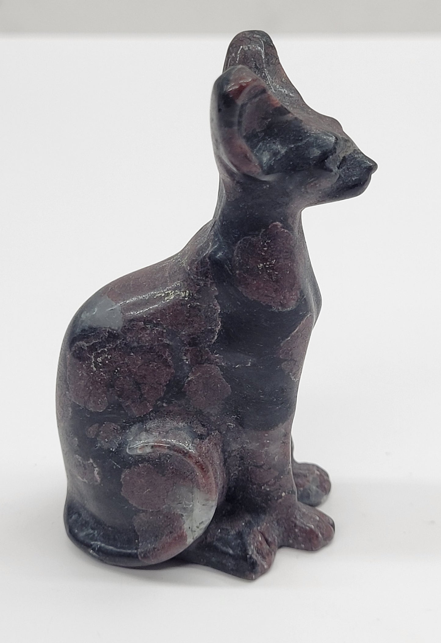 Egyptian Cat (Mau cat) (medium)