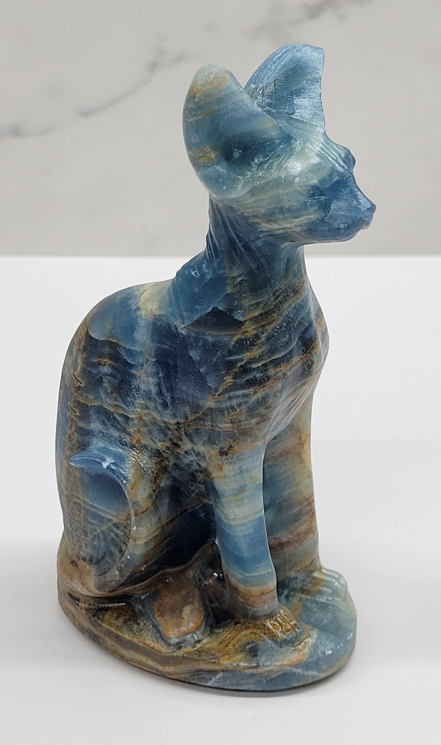 Egyptian Cat (Mau cat) (large)