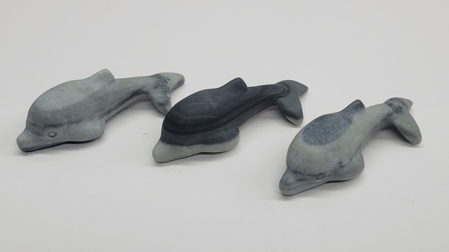 Dolphin carving (M)