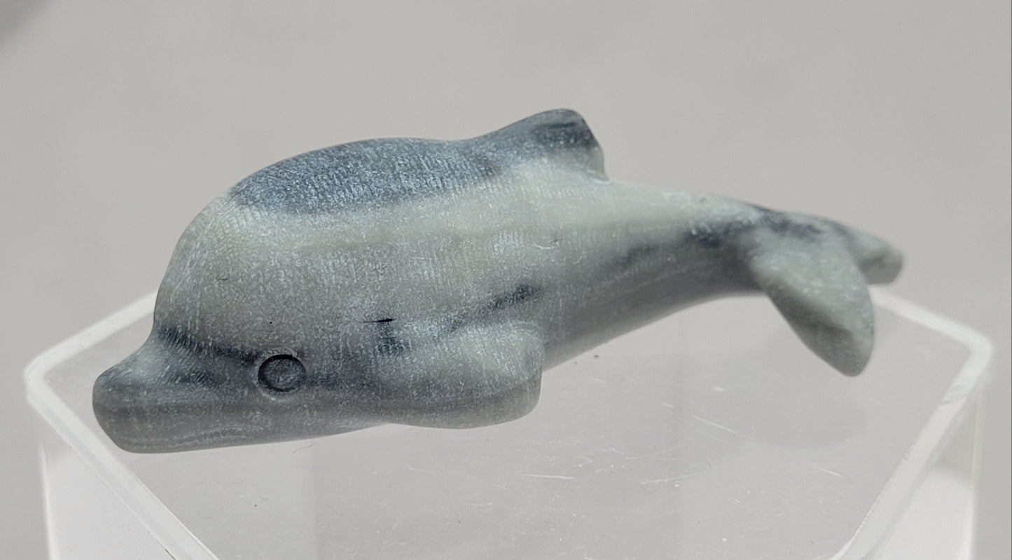 Dolphin carving (M)