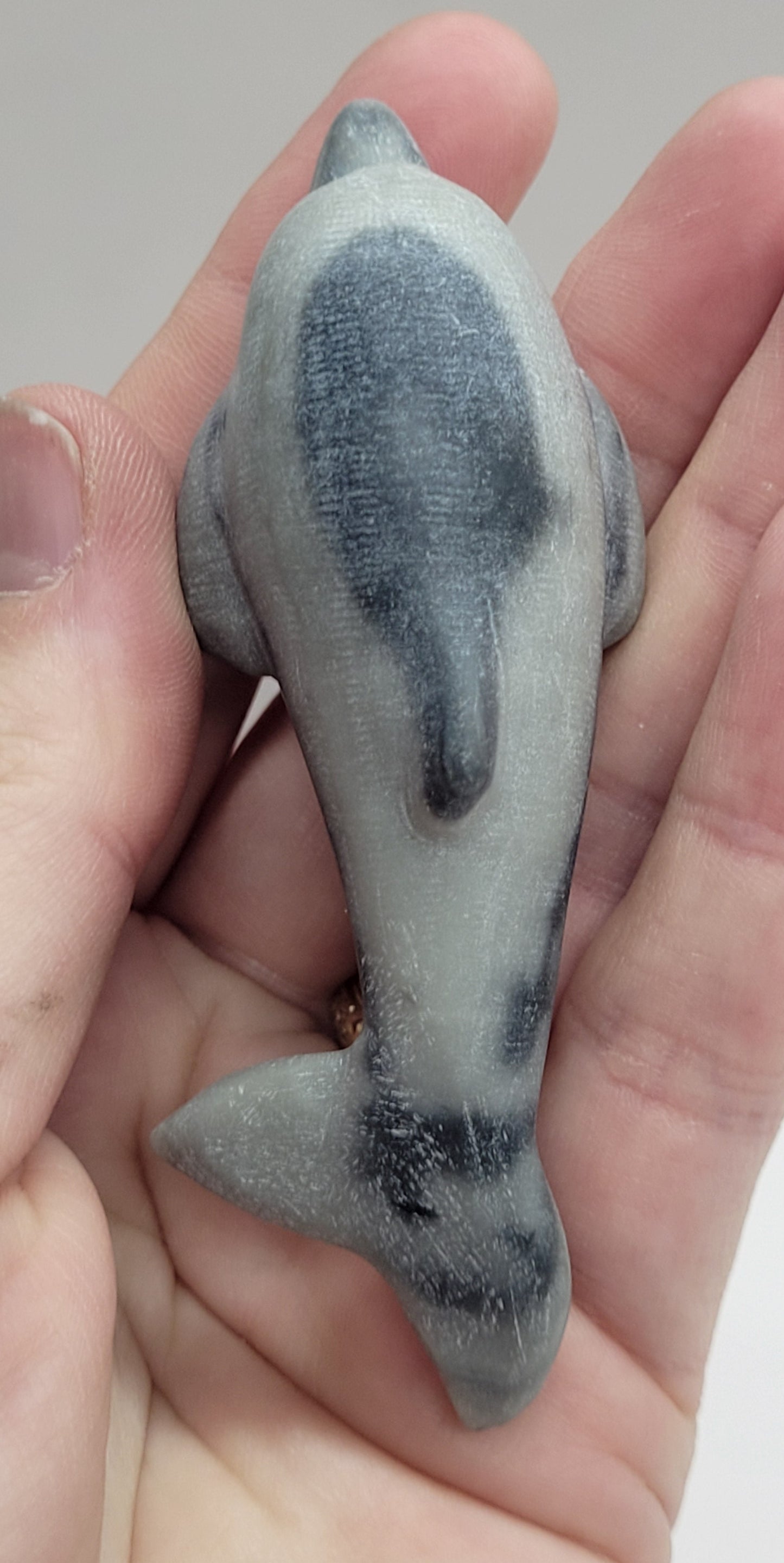 Dolphin carving (M)