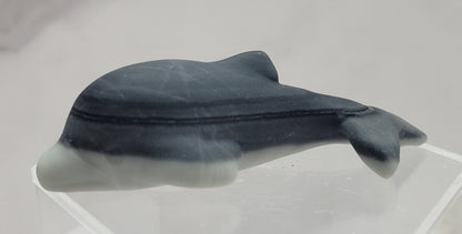 Dolphin carving (M)