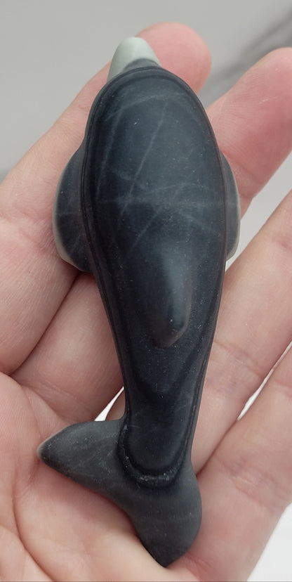 Dolphin carving (M)