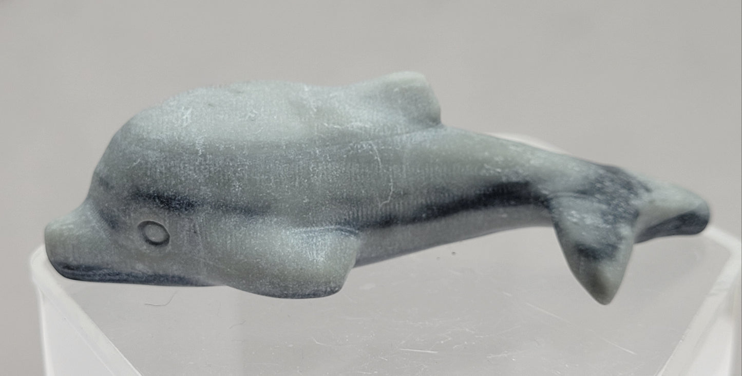 Dolphin carving (M)