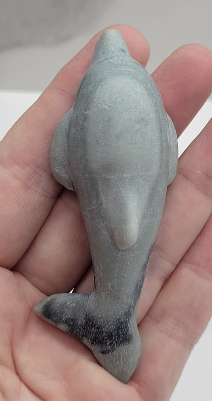Dolphin carving (M)
