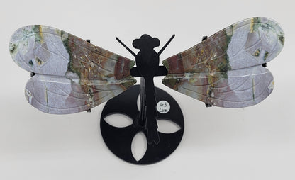 Wings - Ocean Jasper dragonfly