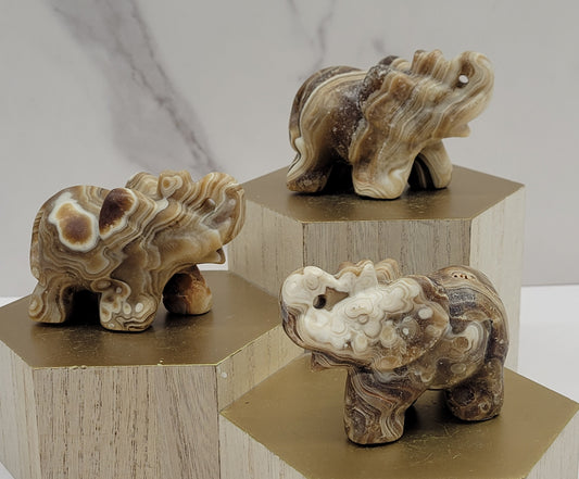 Elephant (M) - Amber Calcite