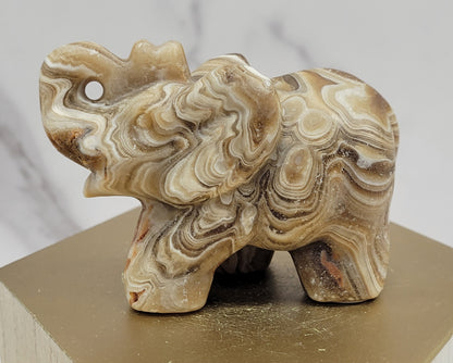 Elephant (M) - Amber Calcite