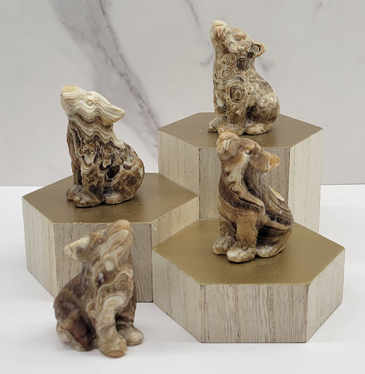 Wolf (M) - Amber Calcite