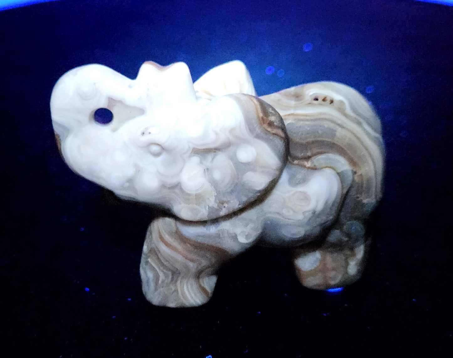 Elephant (M) - Amber Calcite