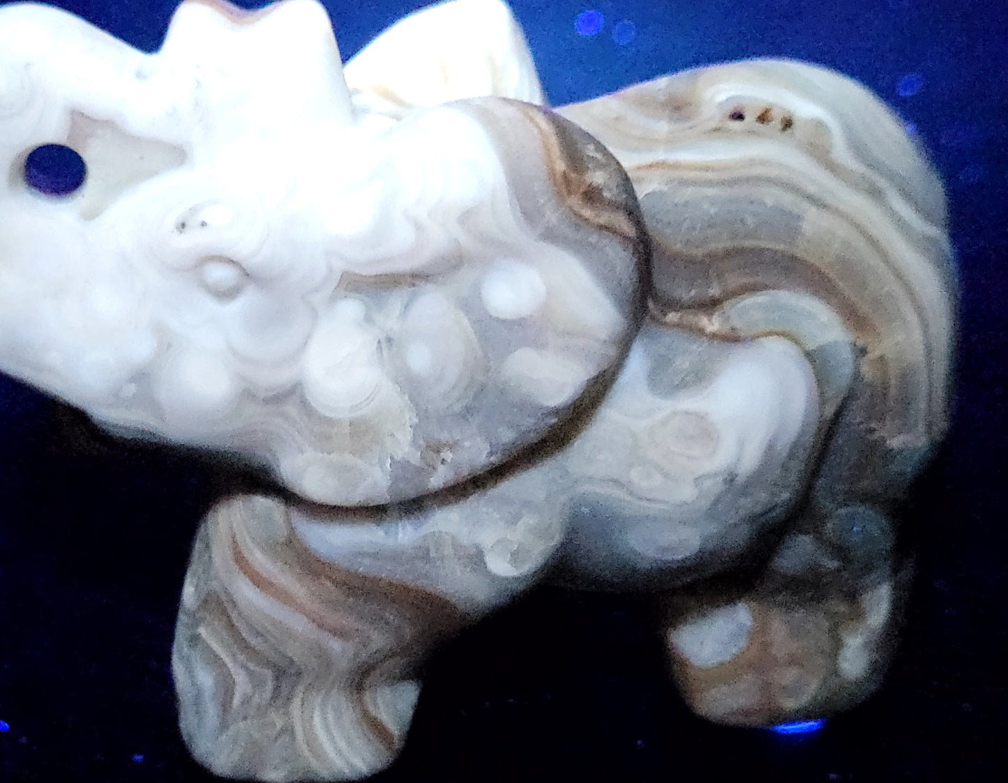 Elephant (M) - Amber Calcite