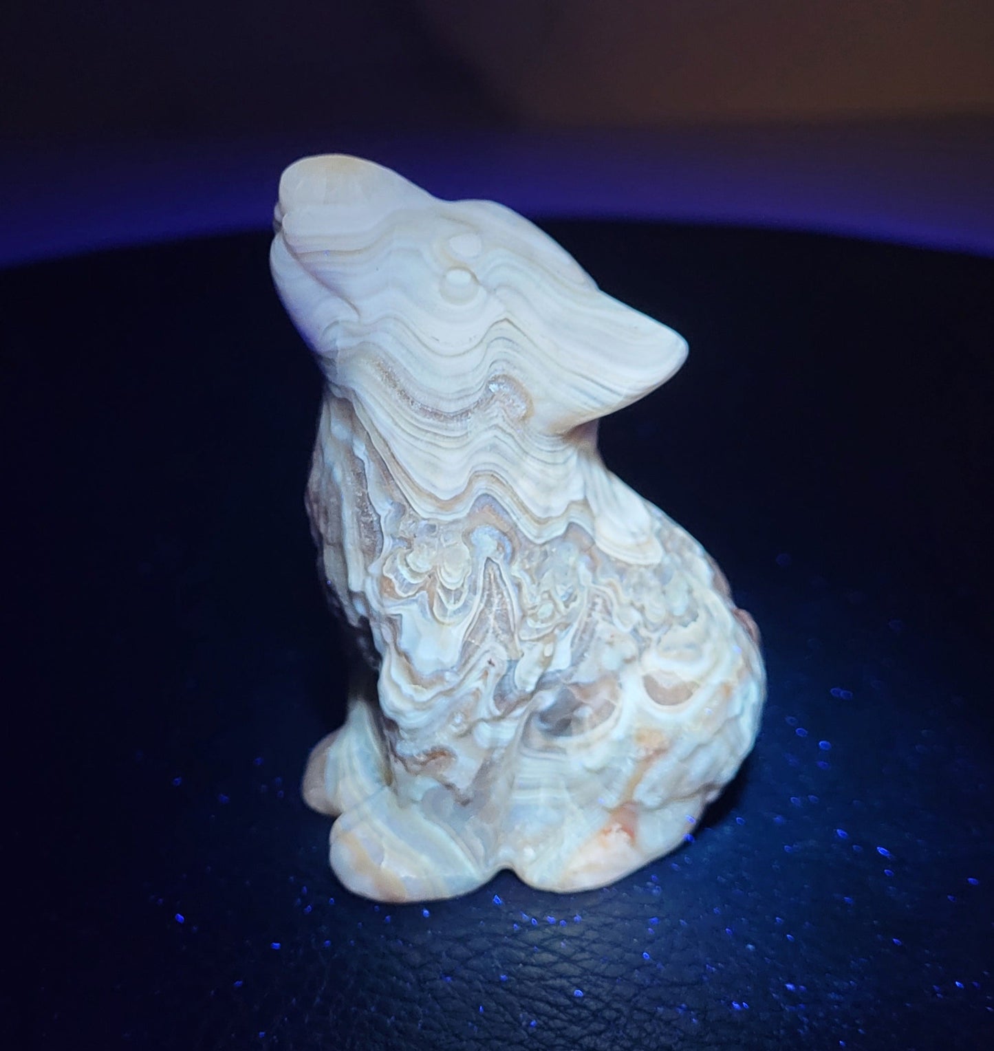 Wolf (M) - Amber Calcite