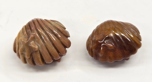 Alashan Agate mini carving - Clam shell