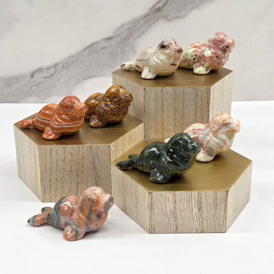 Walrus carving