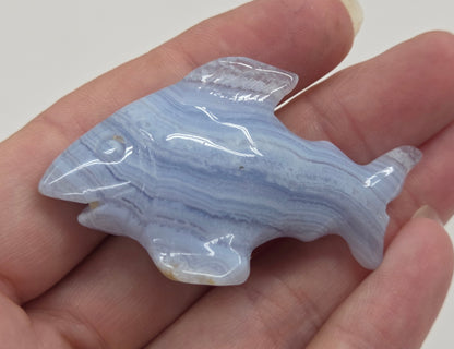 Blue Lace shark carving