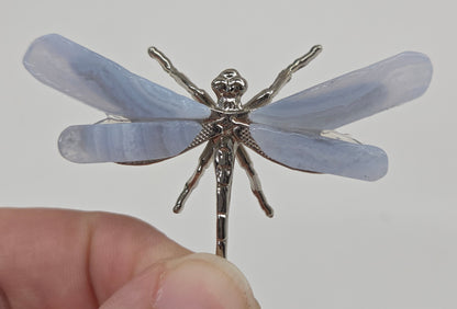 Blue Lace dragonfly (S)
