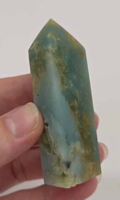 Caribbean Calcite tower