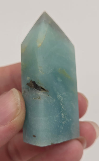 Caribbean Calcite tower