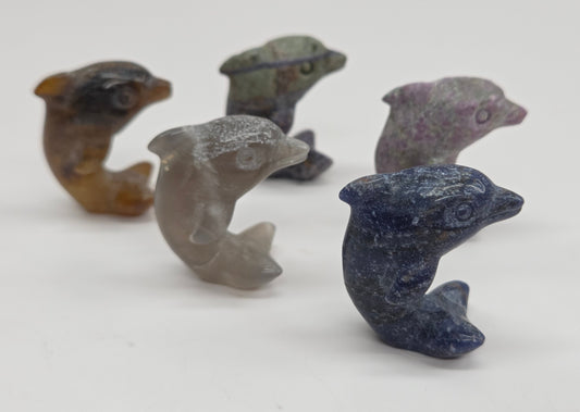 Dolphin carvings (small)