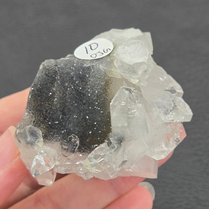 Apophyllite small specimens