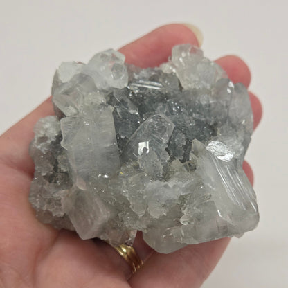 Apophyllite medium/large specimens