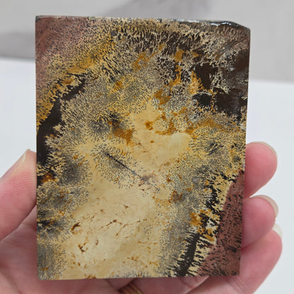 Picture Jasper square coaster
