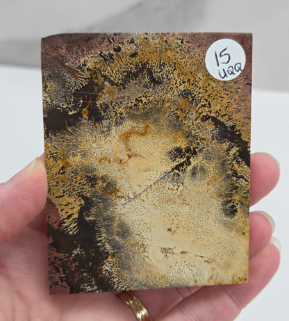 Picture Jasper square coaster