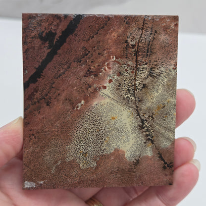 Picture Jasper square coaster