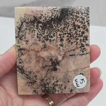 Picture Jasper square coaster