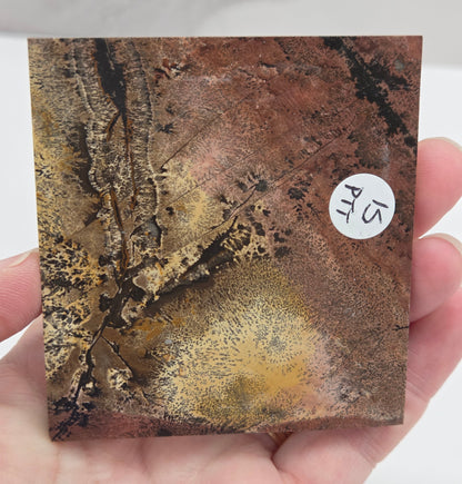 Picture Jasper square coaster