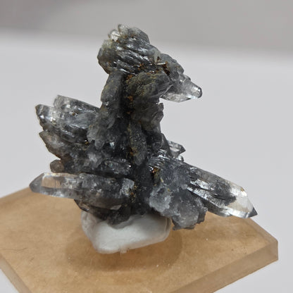 Black Phantom Quartz