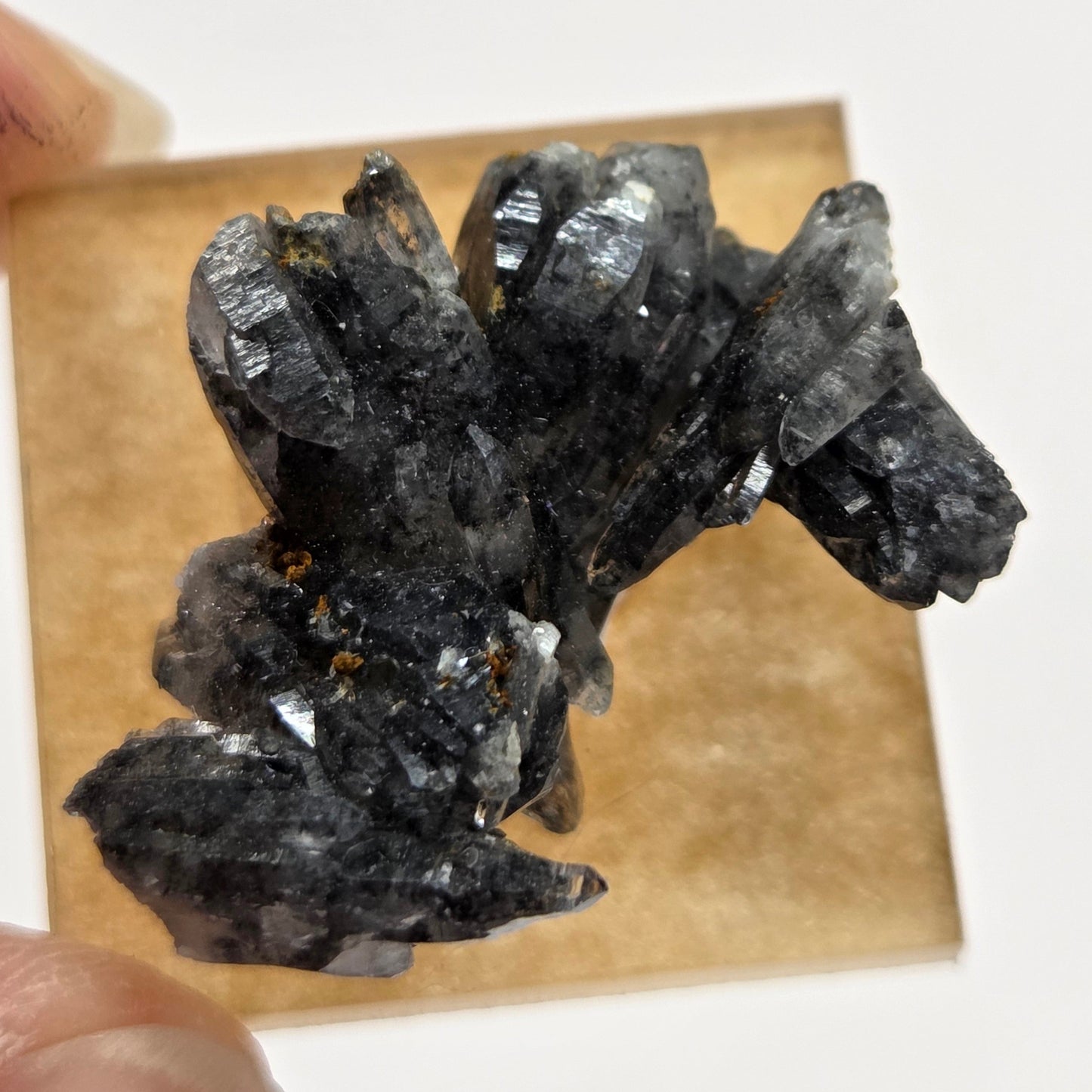 Black Phantom Quartz
