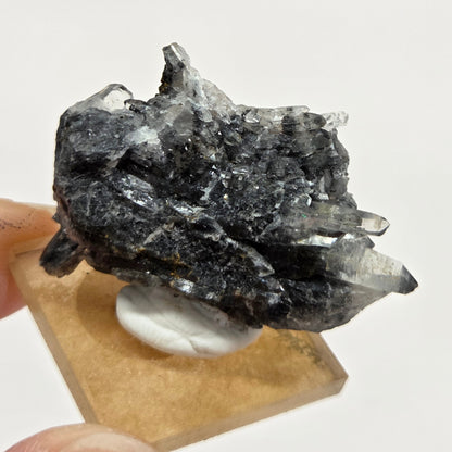 Black Phantom Quartz
