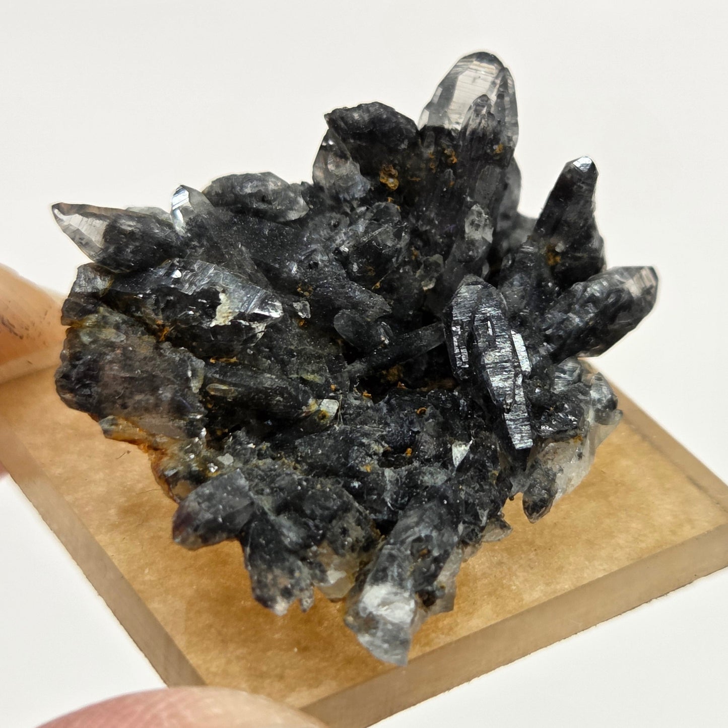 Black Phantom Quartz